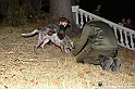VBS_6449 - Inaugurazione Stagione 2022-23 Simulazione Ricerca Tartufo